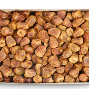 Holy Dates 3 kg + Free Juice Container